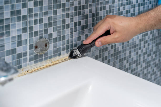 Trusted Mason, MI Mold Removal Experts