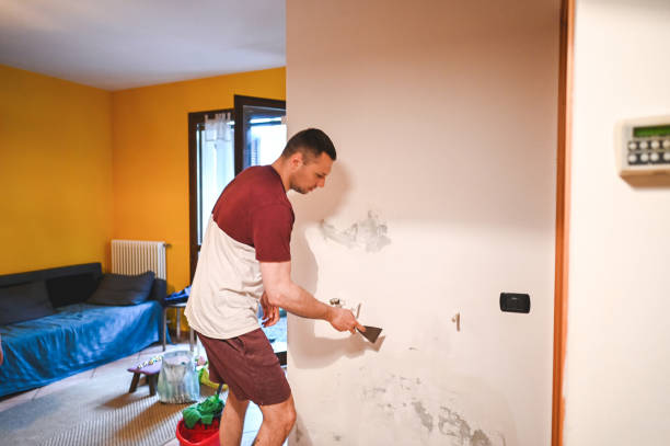 Best Commercial Mold Removal  in Mason, MI