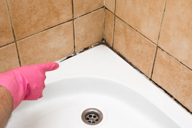 Best Mold Testing  in Mason, MI